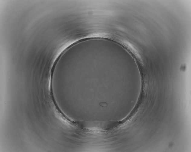 X0000094211276200711021107