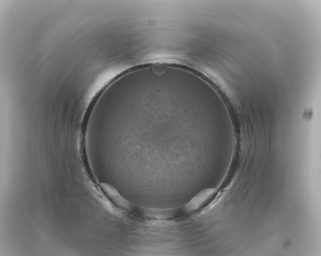 X0000094211277200711021107