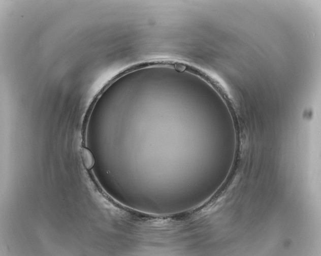 X0000094211279200711021107