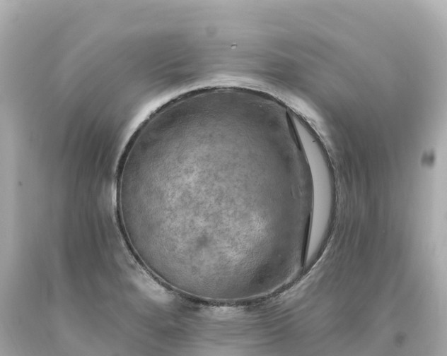X0000094211280200711021107