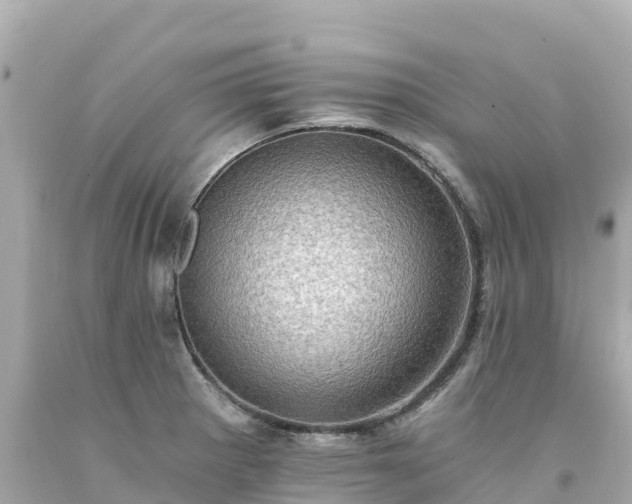 X0000094211281200711021107