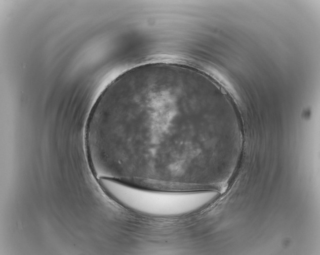 X0000094211283200711021107