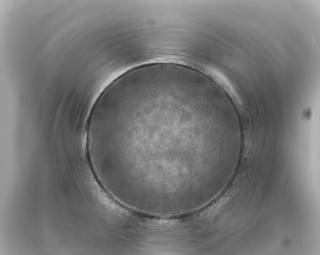 X0000094211284200711021107