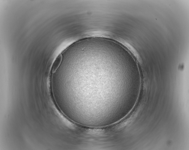 X0000094211285200711021107