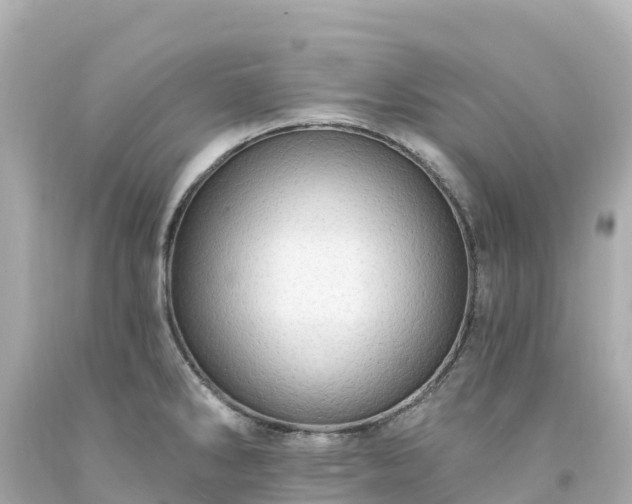 X0000094211286200711021107