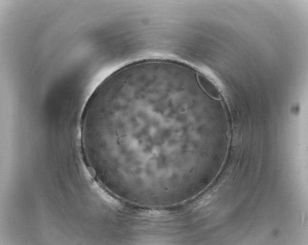 X0000094211287200711021107