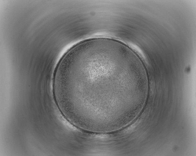 X0000094211288200711021107