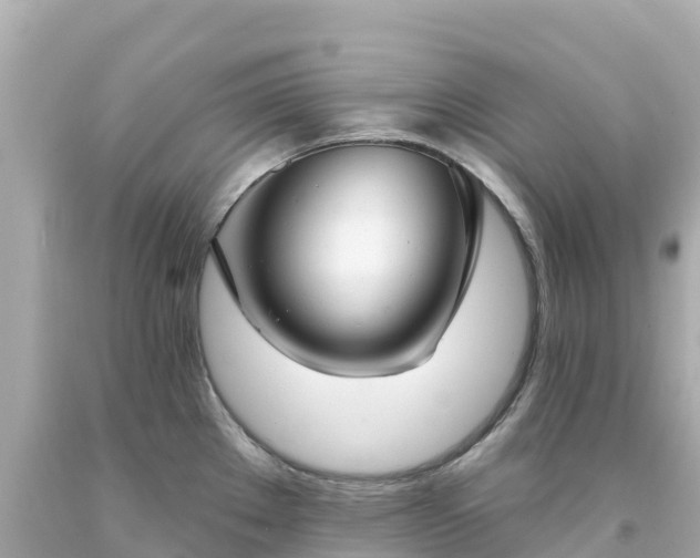 X0000094211289200711021107