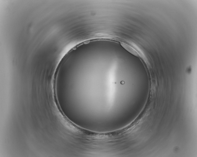 X0000094211291200711021107