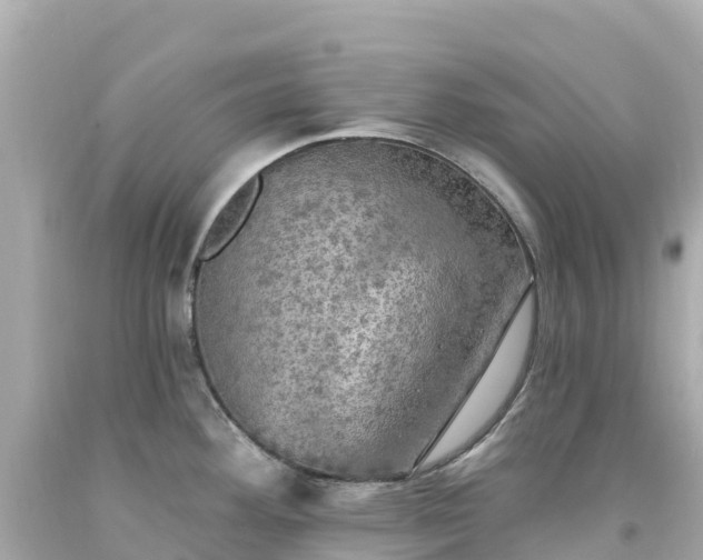 X0000094211292200711021107