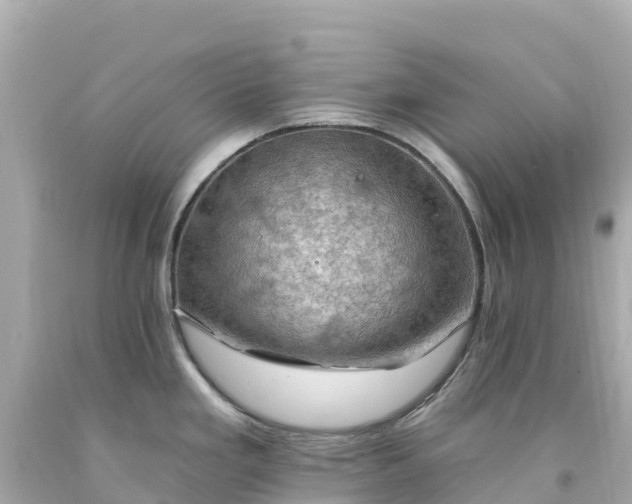 X0000094211293200711021107