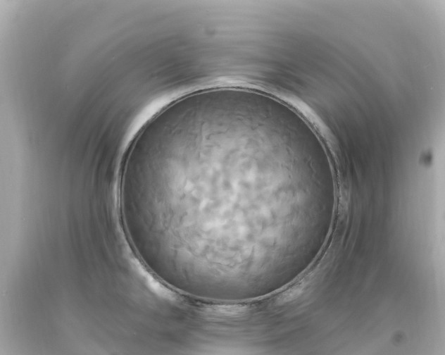 X0000094211294200711021107