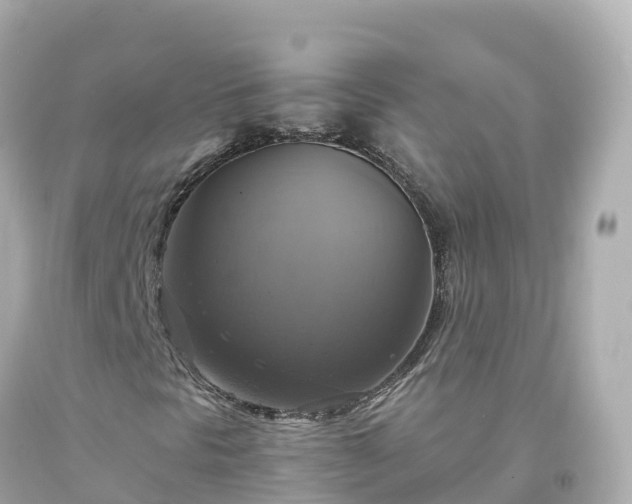 X0000094211297200711021106