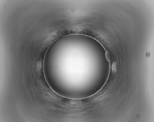 X0000094211299200711021106