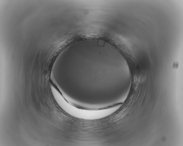 X0000094211300200711021106