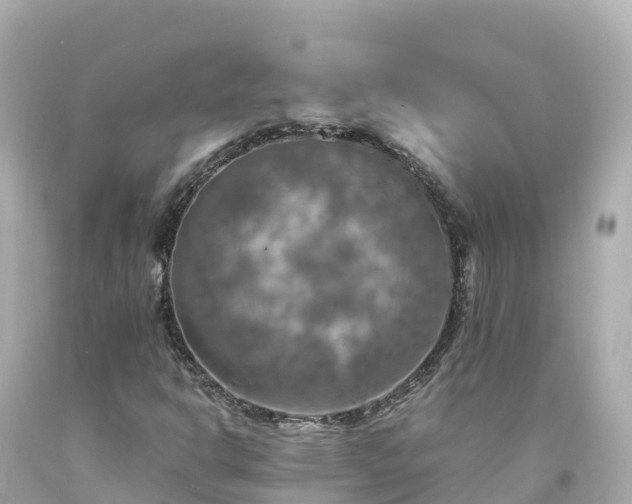 X0000094211302200711021106