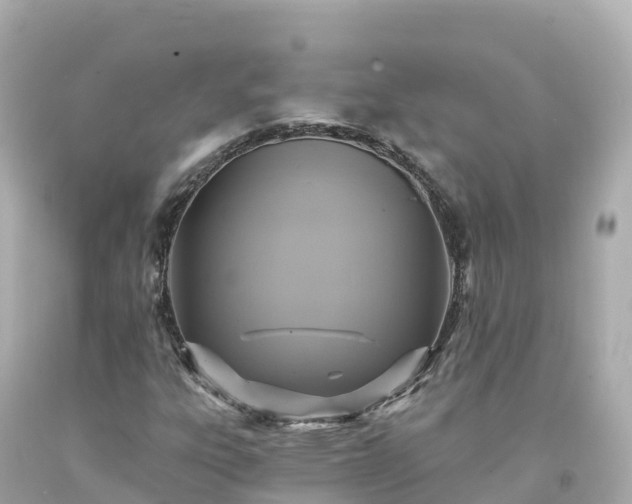 X0000094211303200711021106