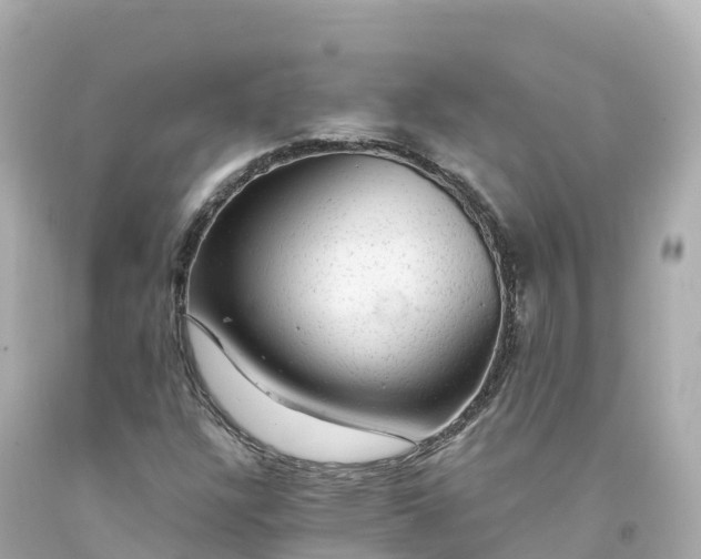 X0000094211304200711021106