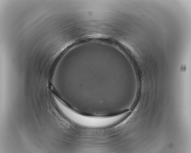 X0000094211305200711021106
