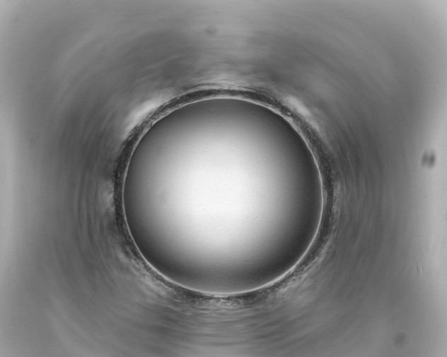 X0000094211307200711021106