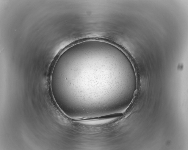 X0000094211308200711021106