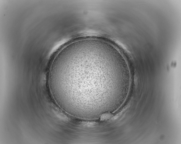 X0000094211309200711021106