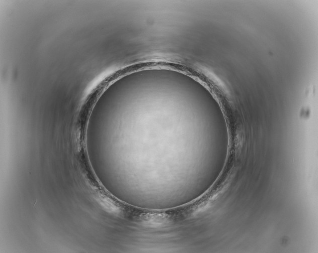 X0000094211310200711021107