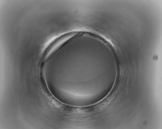 X0000094211311200711021107