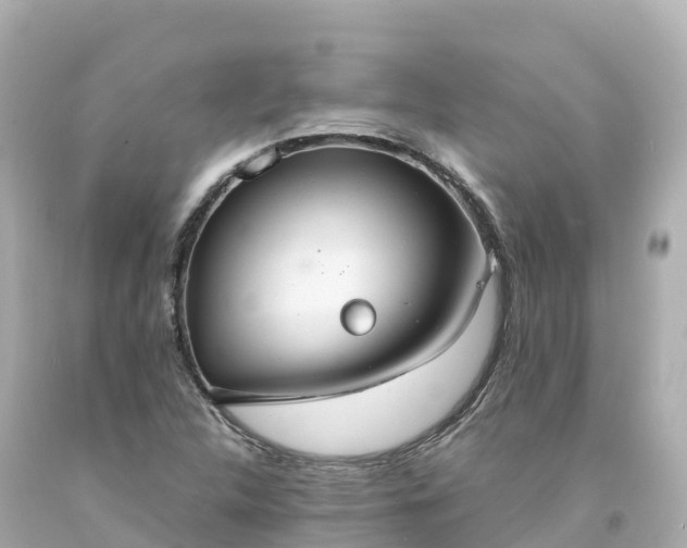 X0000094211312200711021107