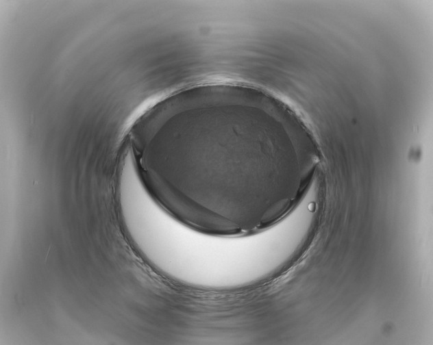 X0000094211314200711021107