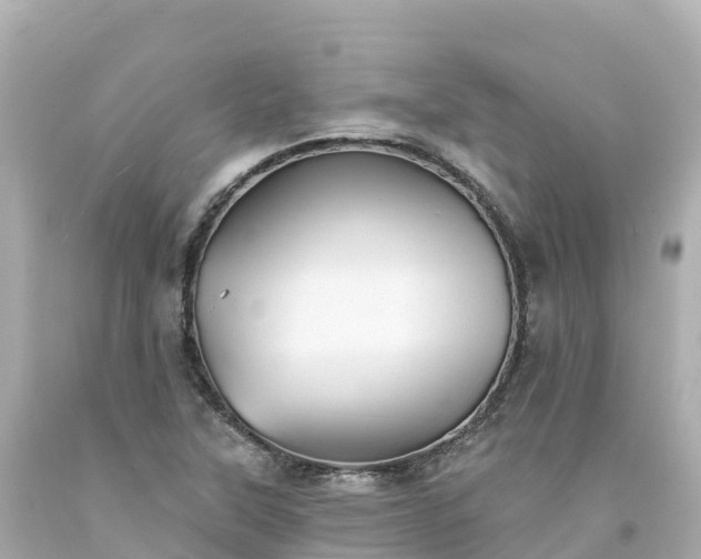 X0000094211315200711021107