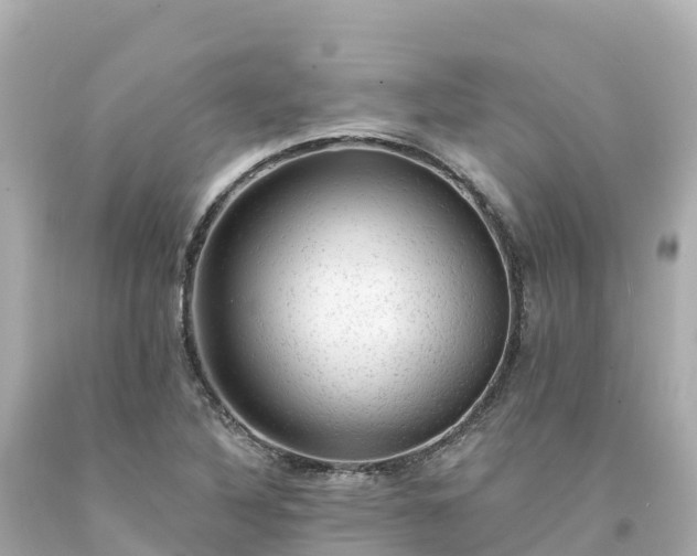 X0000094211316200711021107
