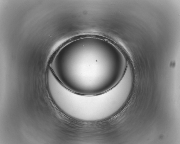 X0000094211320200711021107