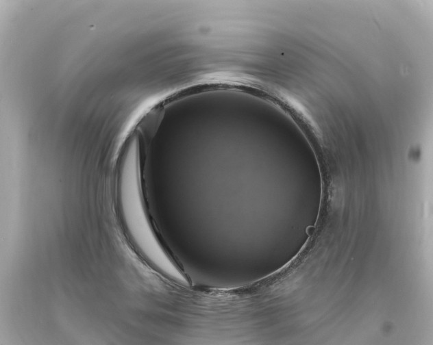 X0000094211323200711021107