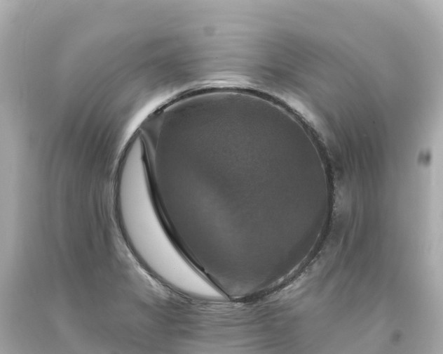 X0000094211325200711021107