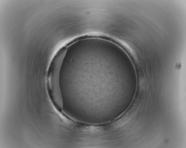 X0000094211327200711021107
