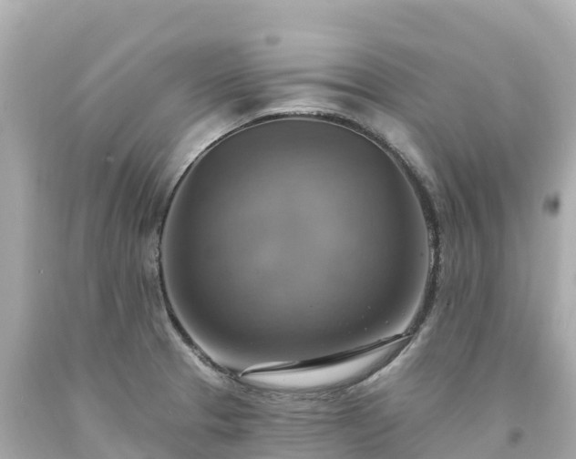 X0000094211329200711021107