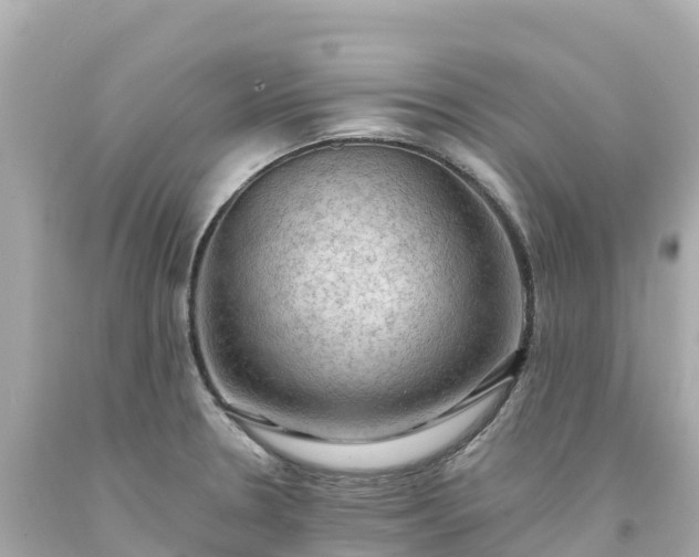 X0000094211330200711021107
