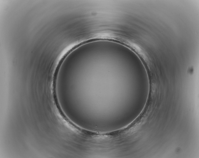 X0000094211331200711021107