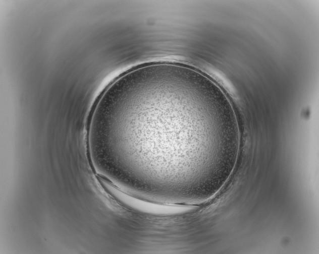 X0000094211332200711021107