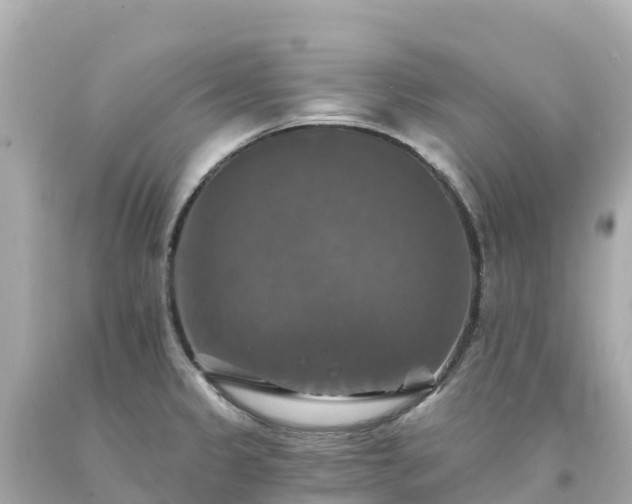 X0000094211333200711021107