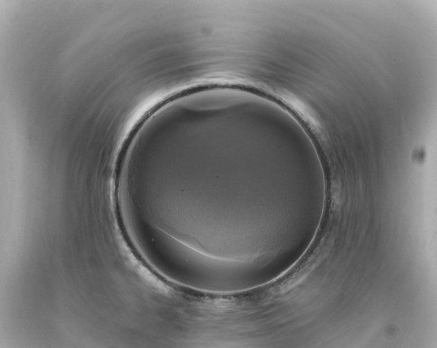X0000094211334200711021107