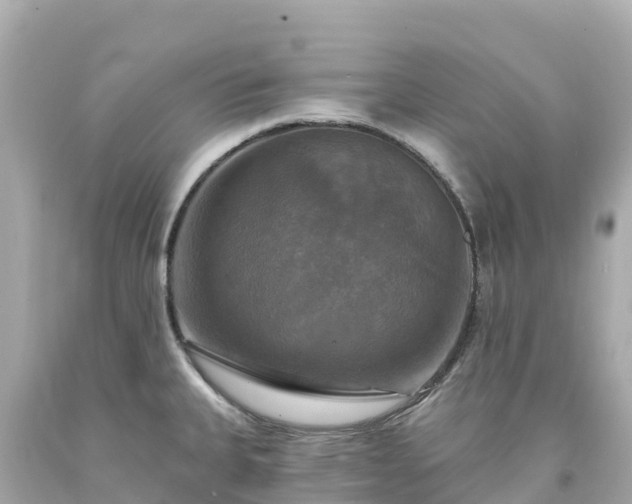 X0000094211335200711021107