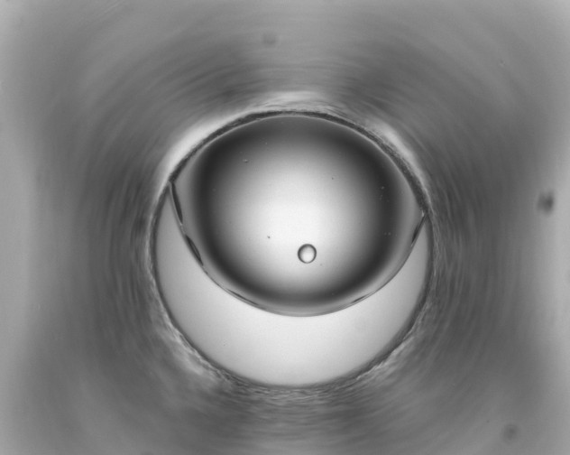 X0000094211336200711021107