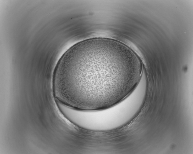 X0000094211339200711021107