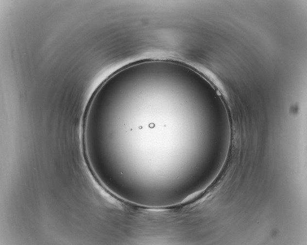 X0000094211343200711021107