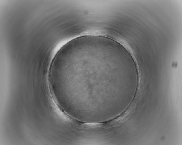 X0000094211344200711021107
