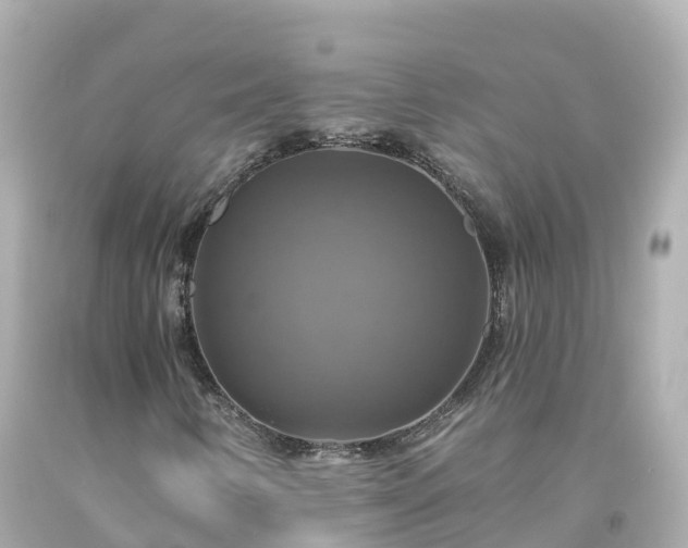 X0000094211346200711021106