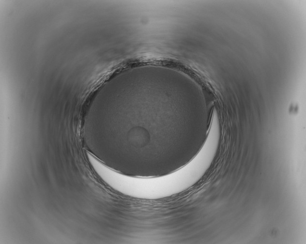 X0000094211348200711021106