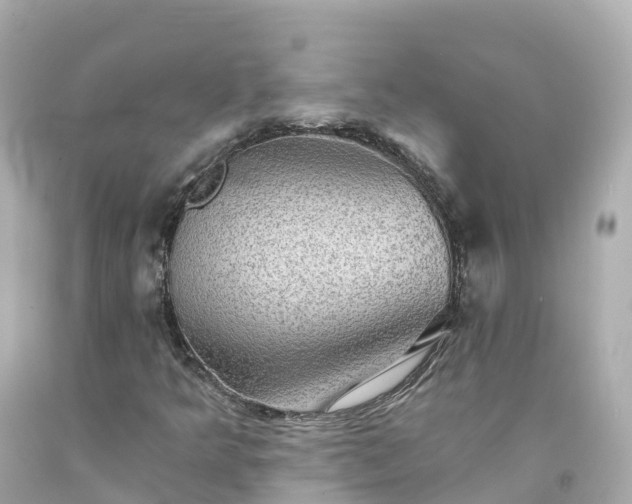 X0000094211349200711021106